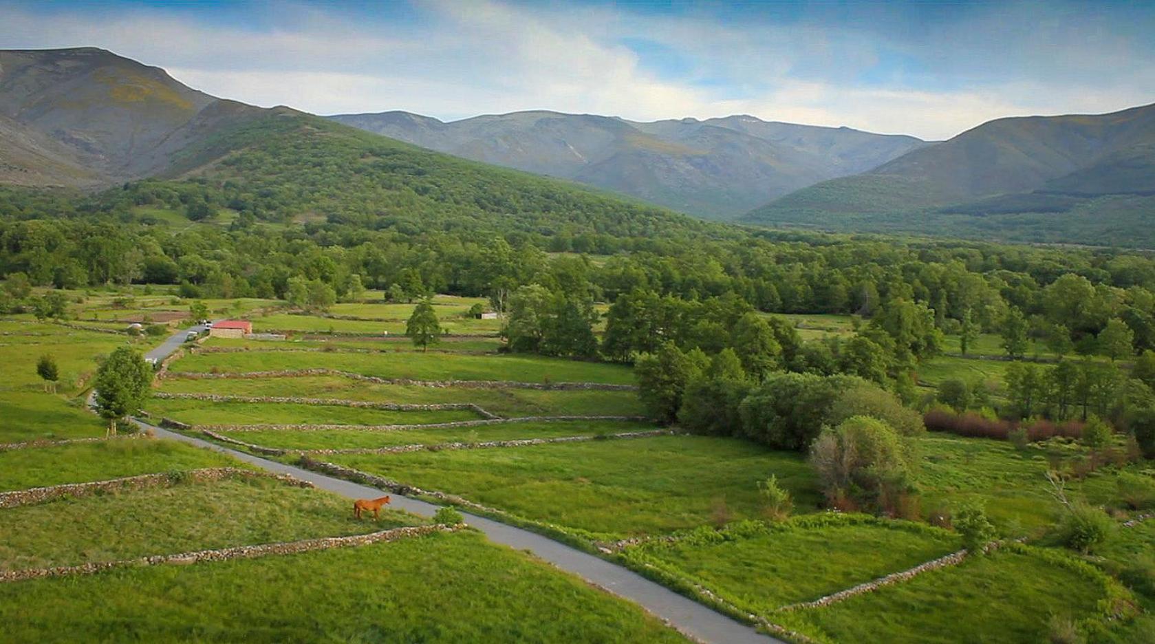 Remanso De Gredos Pensionat Navalonguilla Eksteriør billede